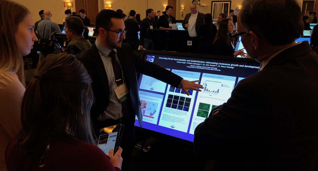 Biomedical Research Excellence