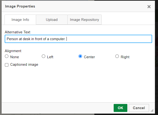 The 'image properties' window showing the 'Image Info tab. The alternative text field shows edited text, 'Person at desk in front of a computer.'