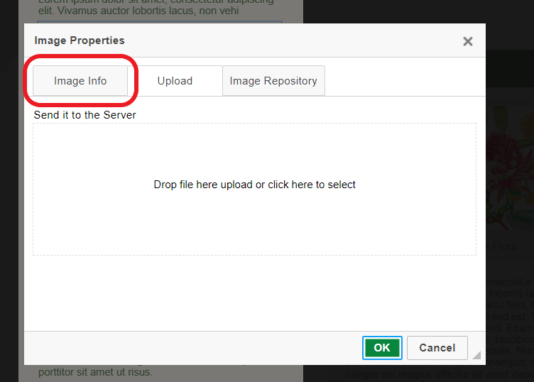 The 'image properties' window the 'Image Info' tab is circled.