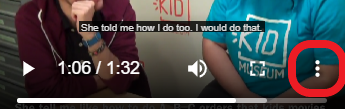 screenshot showing the 3 vertical dots (the settings) available when playing a video. The dots have a red circle around them. 