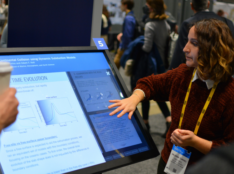 AGU Fall Meeting iPoster Sessions