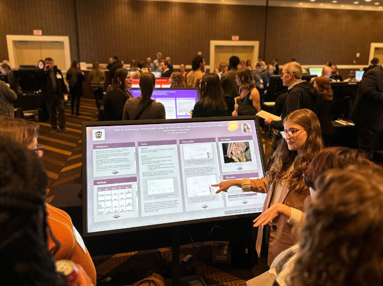 a person at K-INBRE Symposium standing infront of an angled standing screen and presenting an iPoster tp a group of people. The presenter is pointing at the screen