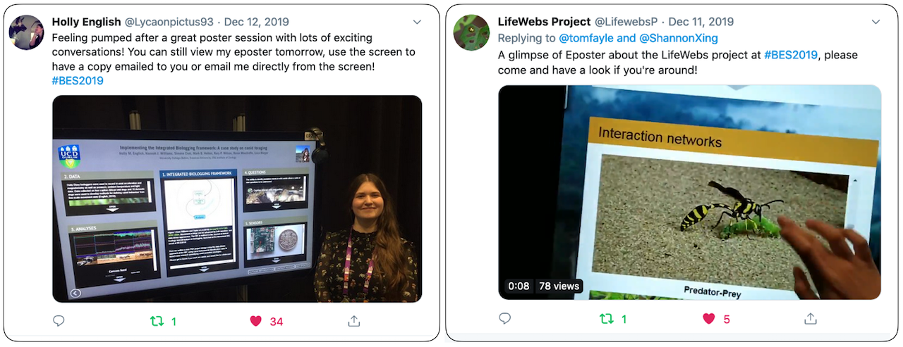 Tweets from the Brirtish Ecological Society 2019 Meeting