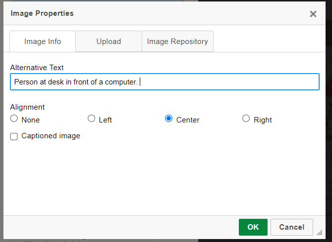 The 'image properties' window showing the 'Image Info tab.  The alternative text field shows edited text, 'Person at desk in front of a computer.'
