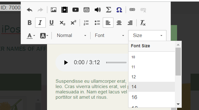 iPoster editor tool box showing the font size selector tool. 
