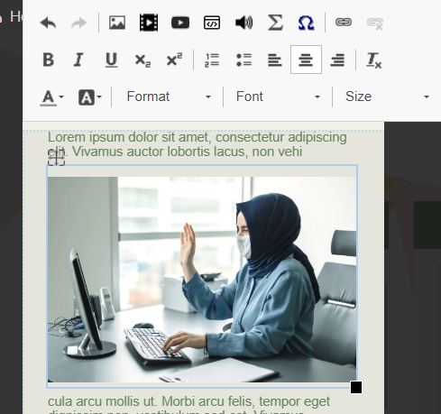 The image in the content box with the tool bar open above it. 