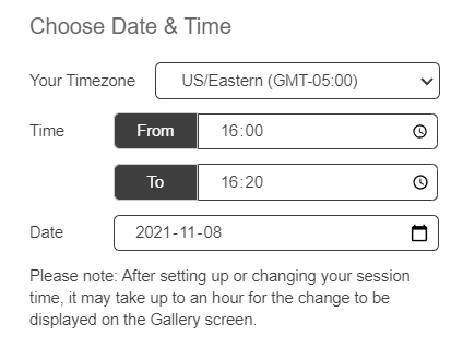 the date and time  section of the chat schedule tool showing dropdown options for time zone, from time, to time and date. 